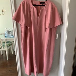 NWT Eloquii Pink Shift Dress